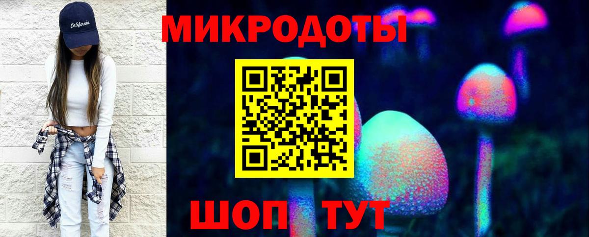Галлюциногенные грибы Psilocybine cubensis Ярцево