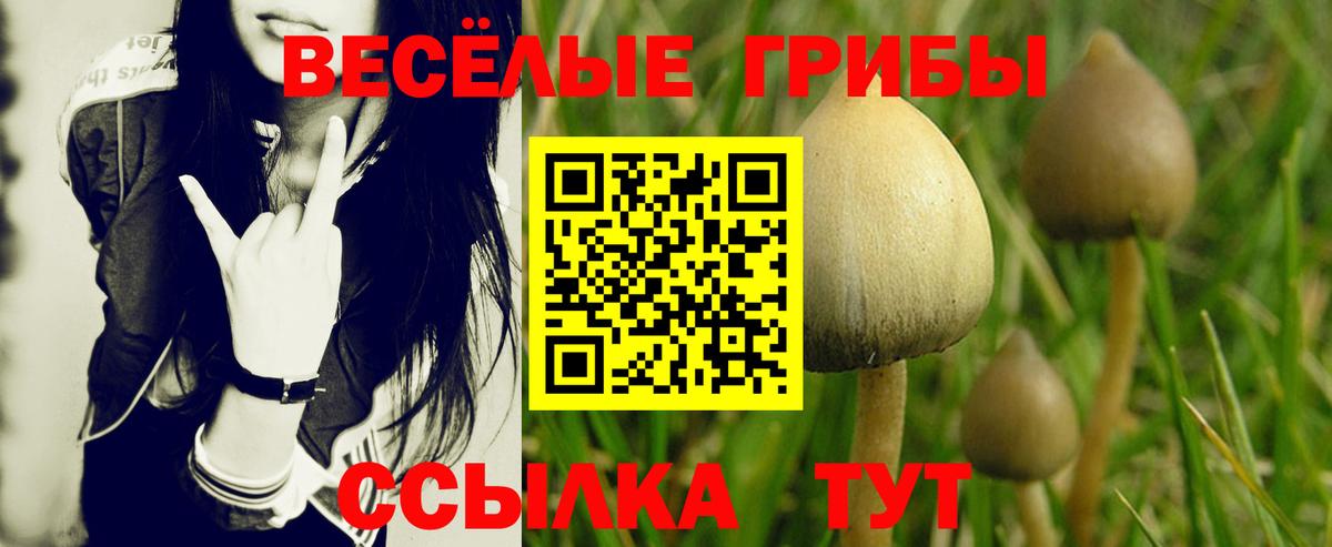 Псилоцибиновые грибы прущие грибы  Вход с VPN  Ярцево 